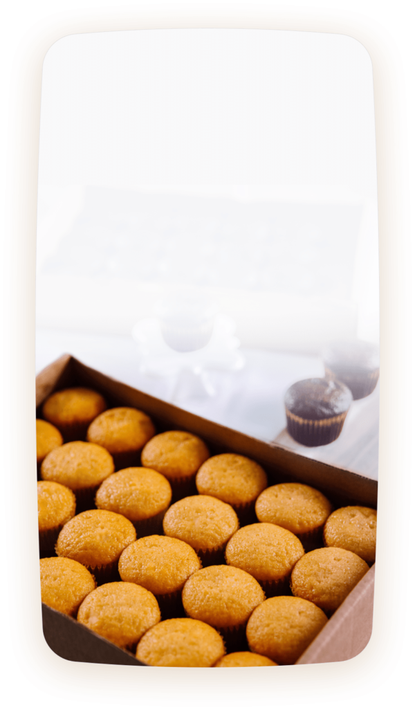 Boston Baking Cupcake Blanks